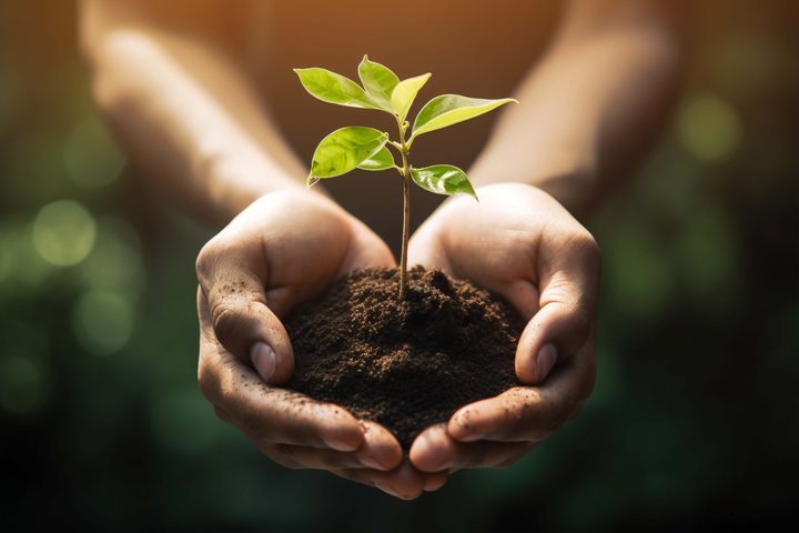 Sustentabilidade